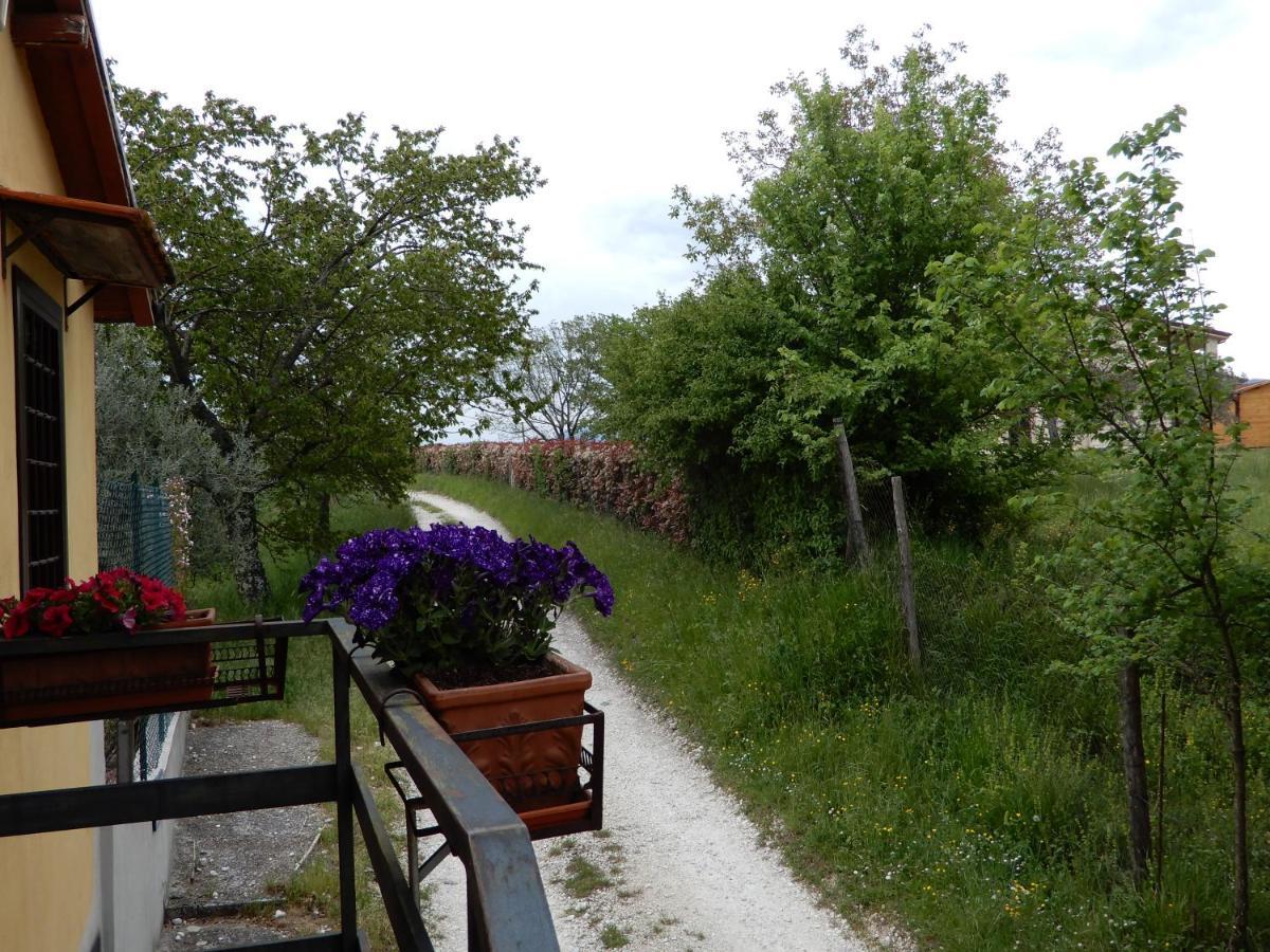 Il Gelsomino Panzió Frasso Sabino Kültér fotó